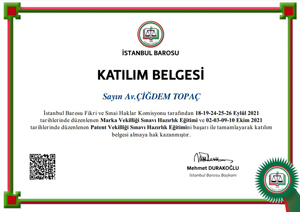 Marka ve Patent Vekilliği Sınavı Hazırlık Eğitimi Katılım Belgesi