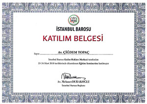 İstanbul Barosu Kadın Hakları Merkezi Meslek içi Eğitim Semineri